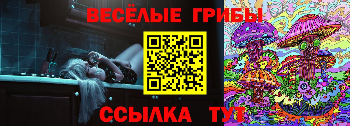 Псилоцибиновые грибы мухоморы Воркута