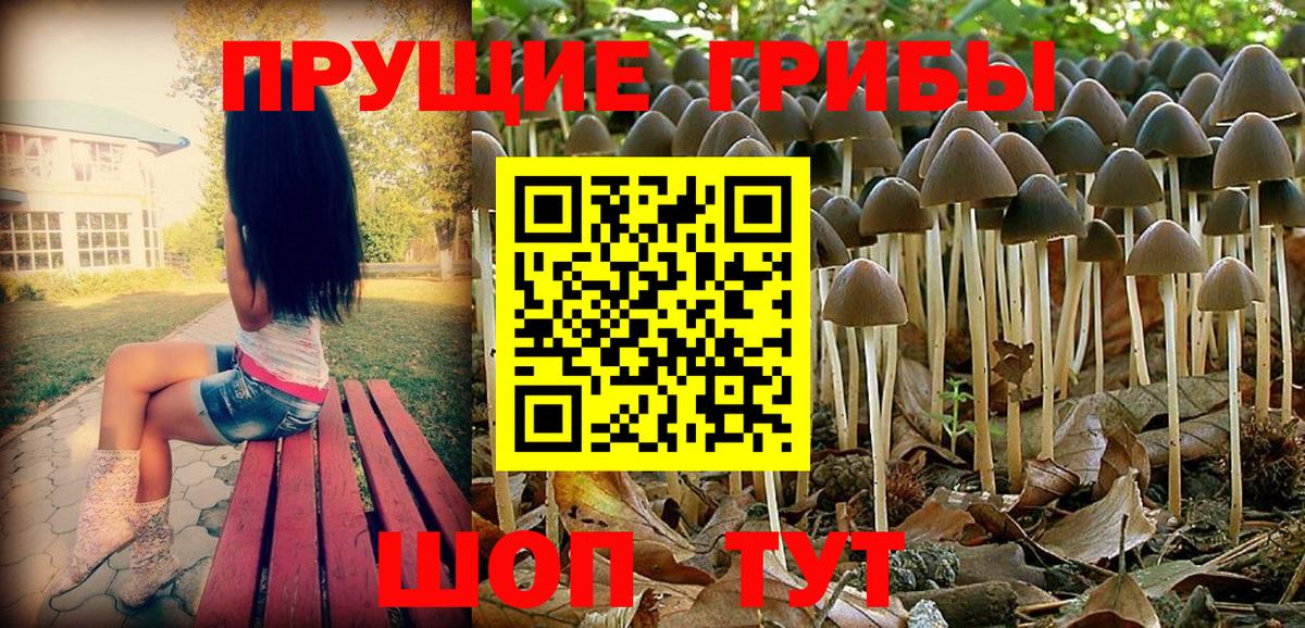 Псилоцибиновые грибы MAGIC MUSHROOMS  Вход с VPN  Воркута 